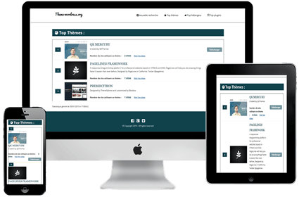 Site internet Responsive design